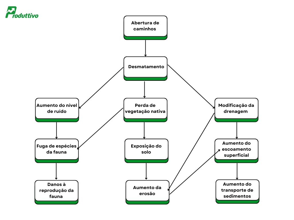 Exemplo de como funciona o método de redes de Interação (Networks) para avaliação de impacto ambiental 