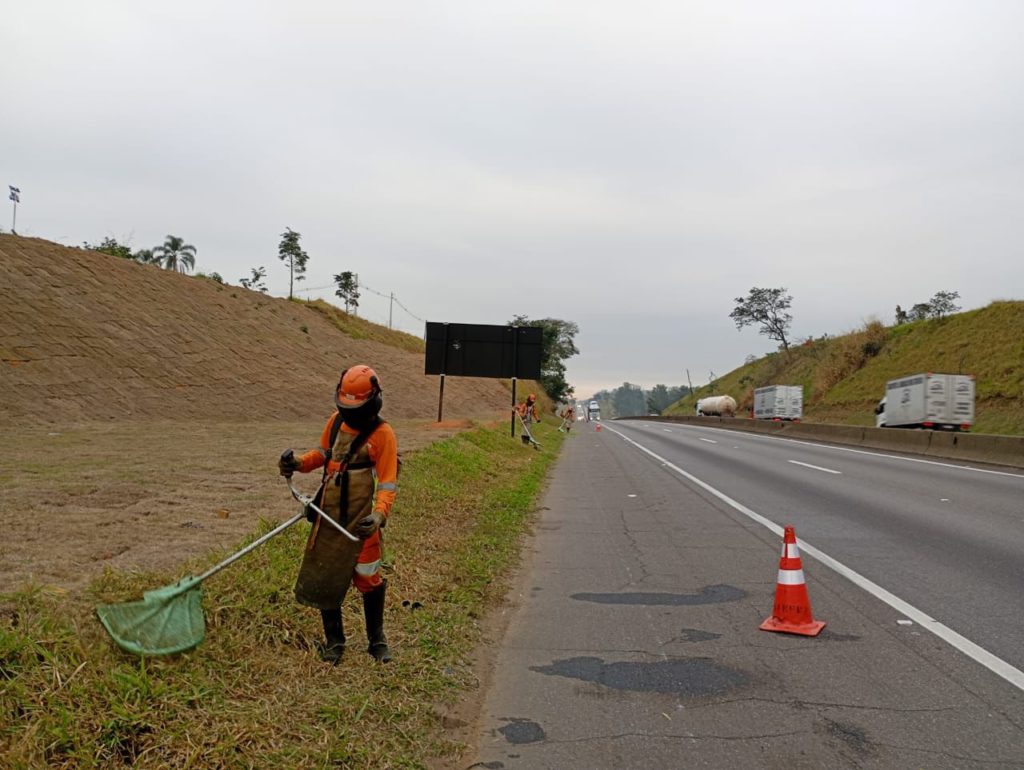 profissional de campo da Diefra trabalhando 